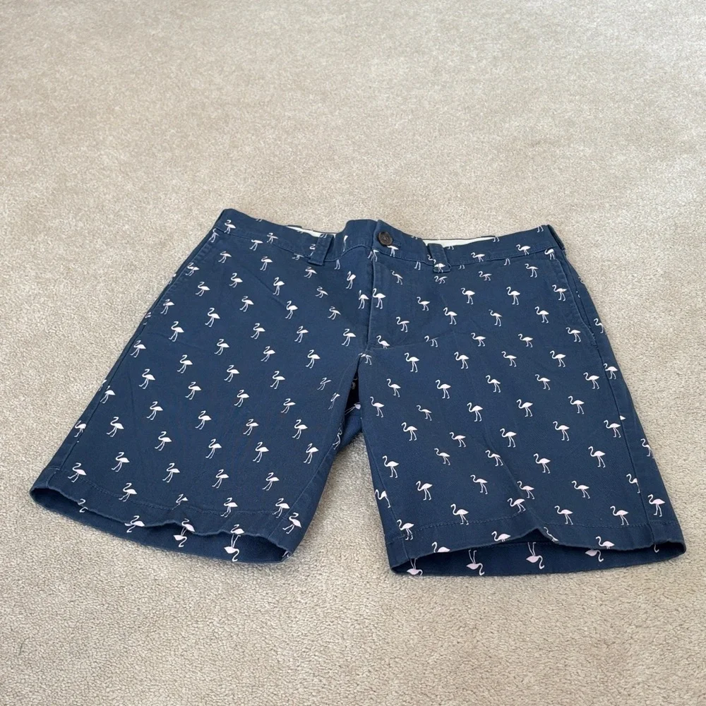 J. Crew Shorts